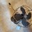 emerson-sealreege-fan-image-2