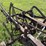international-14-image-15