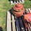 case-ih-1460-image-3