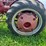 1949-farmall-cub-image-14