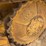 fiat-allis-d7a-image-50