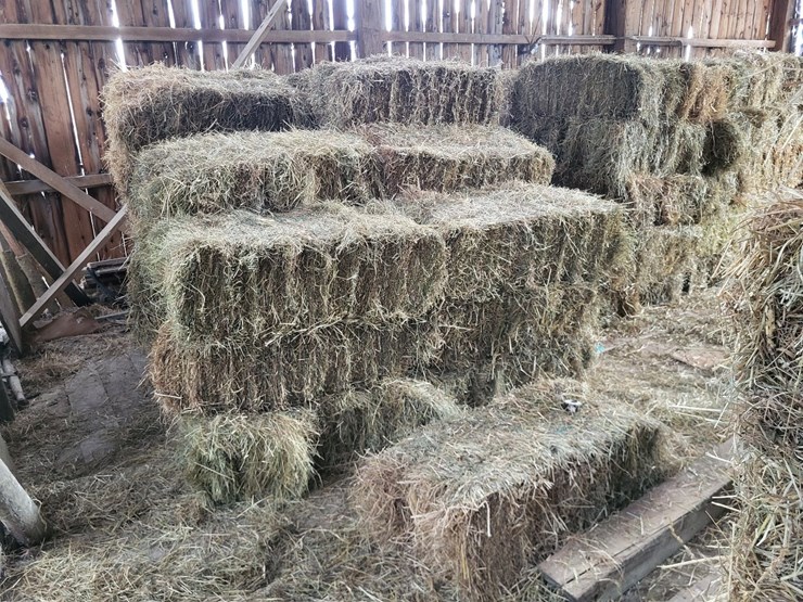 (41)-small-square-bales-of-1st-cutting-hay-in-2025-image-2