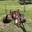 international-14-image-2
