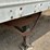 great-dane-53-image-27