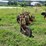 international-14-image-2