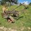 international-14-image-1
