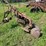 international-12-image-1