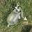 pipeline-milk-jar-image-3