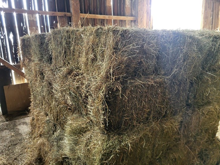 (50)-small-square-bales-of-1st-cutting-hay-in-2025-image-4