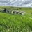 john-deere-2-image-5