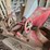 international-end-gate-seeder-image-5