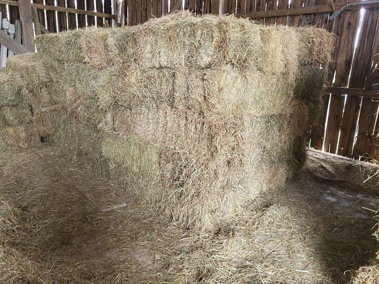 (50)-small-square-bales-of-1st-cutting-hay-in-2025-image-1