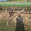 john-deere-grain-drill-image-1