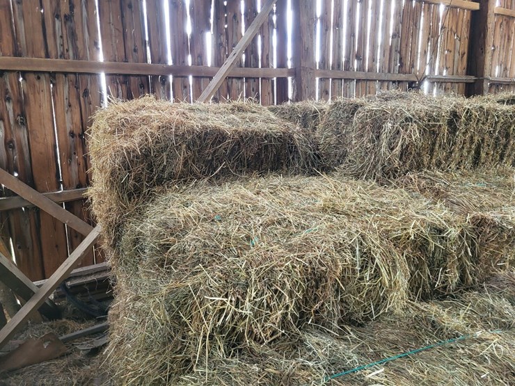 (41)-small-square-bales-of-1st-cutting-hay-in-2025-image-4