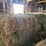 (50)-small-square-bales-of-1st-cutting-hay-in-2025-image-12