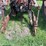 1955-farmall-300-image-14