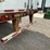 great-dane-53-image-21