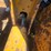 caterpillar-d3-image-76
