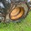 john-deere-640-image-52
