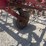 international-365-image-9