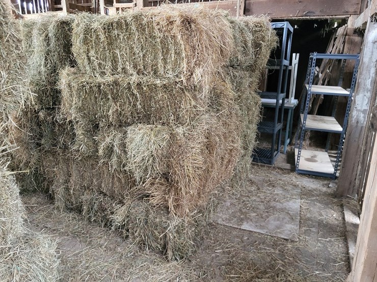 (50)-small-square-bales-of-1st-cutting-hay-in-2025-image-8