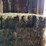 (50)-small-square-bales-of-1st-cutting-hay-in-2025-image-5