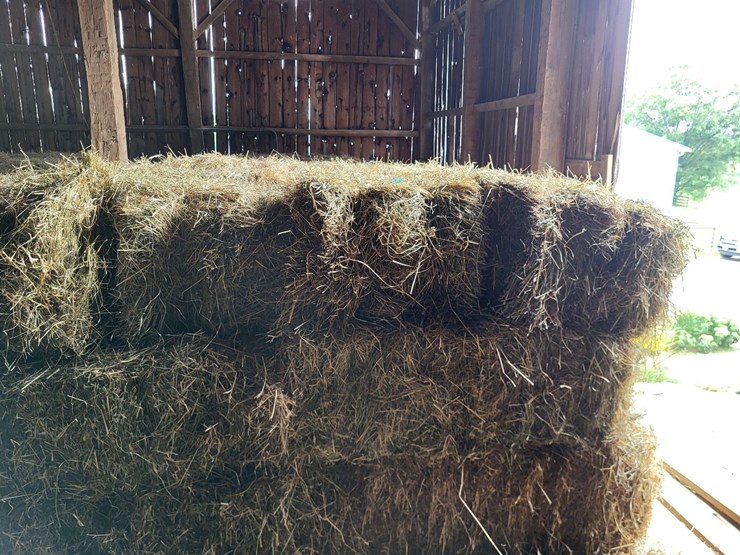 (50)-small-square-bales-of-1st-cutting-hay-in-2025-image-5