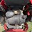 gravely-proturn-48-image-6