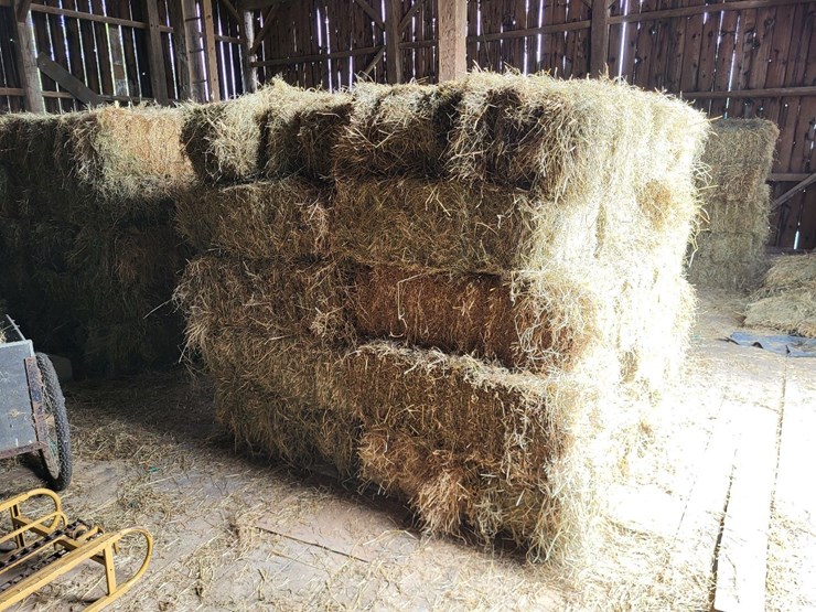 (50)-small-square-bales-of-1st-cutting-hay-in-2025-image-2