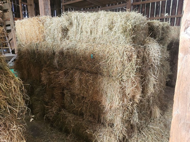 (50)-small-square-bales-of-1st-cutting-hay-in-2025-image-1