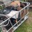 kinze-3600-image-6