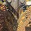 1998-timbco-415c-image-77