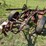 international-14-image-8