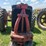 1954-farmall-super-h-image-9