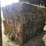 (50)-small-square-bales-of-1st-cutting-hay-in-2025-image-8