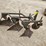 #122-•-3pt-3-bottom-plow-image-5