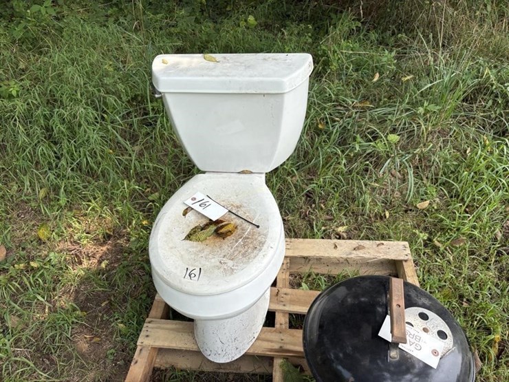 toilet-image-2
