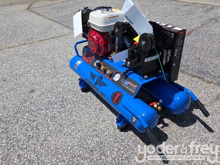 eagle-10-image-2