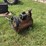 red-&-white-air-compressor---runs-image-1