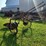 international-16-image-7
