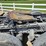#65-•-2012-volvo-vnl-day-cab-tandem-axle-semi-tractor-image-17