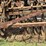 mccormick-8-image-24
