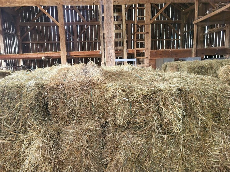 (50)-small-square-bales-of-1st-cutting-hay-in-2025-image-8