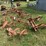 allis-chalmers-2-row-cultivator---off-d15-image-2