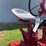 1953-farmall-super-h-image-16