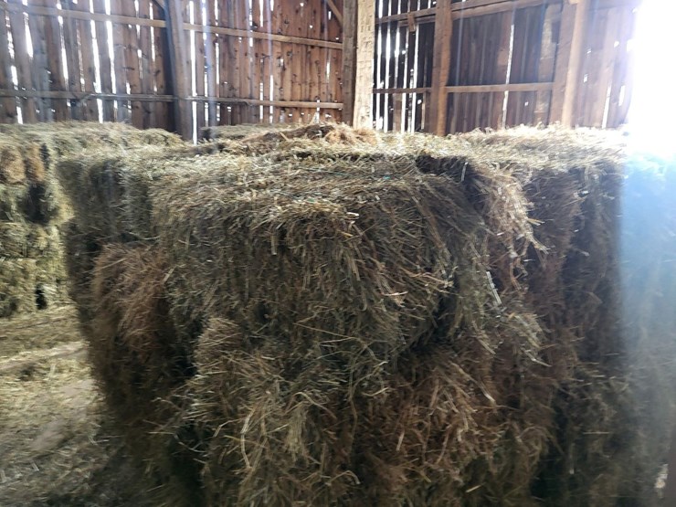 (50)-small-square-bales-of-1st-cutting-hay-in-2025-image-10