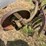 international-14-image-9