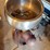 mccormick-deering-cream-separator-image-3