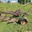 international-14-image-2