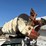2019-international-workstar-7400-image-41